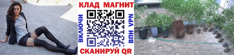 Купить наркотики сайты Ишимбай ГАШИШ  Codein  КОКАИН  Галлюциногенные грибы  Меф мяу мяу  Каннабис 