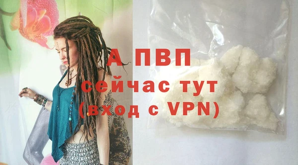 мяу мяу мука Покачи