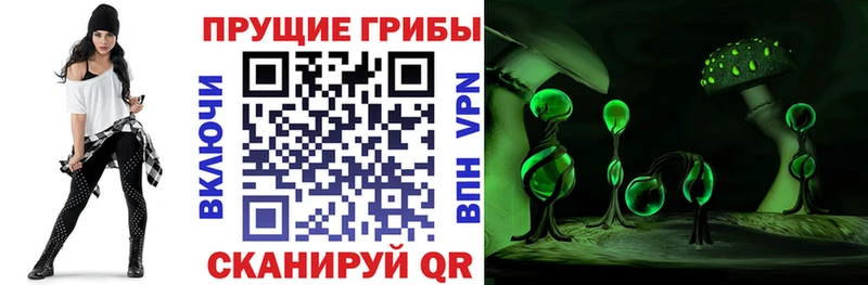 купить наркоту  Ишимбай  Галлюциногенные грибы Psilocybine cubensis 